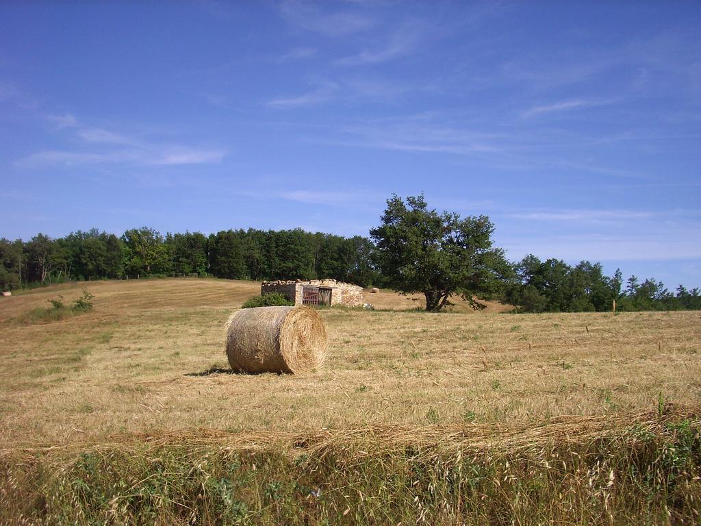 Agriturismo Bio Le Macchie Alte Manciano Kültér fotó
